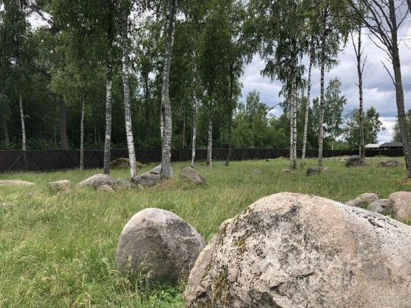 В Ленобласти разрушили «Русский Стоунхендж» В Ленобласти разрушили «Русский Стоунхендж»0
