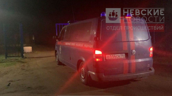 Что известно к этому часу об убийстве снайпером депутата Александра Петрова Что известно к этому часу об убийстве снайпером депутата Александра Петрова1