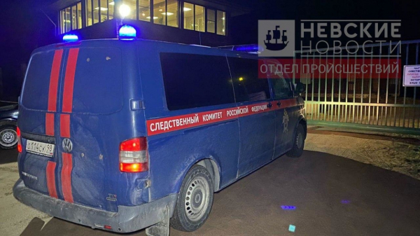 Что известно к этому часу об убийстве снайпером депутата Александра Петрова Что известно к этому часу об убийстве снайпером депутата Александра Петрова3