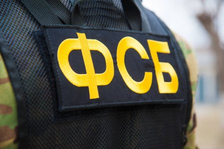 Фонд борьбы с коррупцией требует от ФСБ возбудить уголовное дело о применении «Новичка» Фонд борьбы с коррупцией требует от ФСБ возбудить уголовное дело о применении «Новичка»0