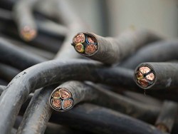 На острове Русском неизвестные украли 3,5 километра проводов На острове Русском неизвестные украли 3,5 километра проводов
