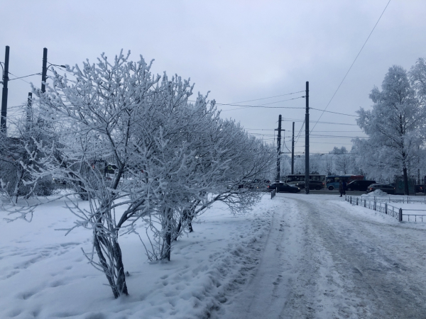 Стало известно, как долго петербуржцы смогут фотографировать зимнюю сказку погода3