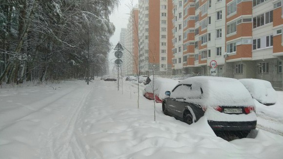 В Москве голая женщина раздела трех своих детей и закопала в снег В Москве голая женщина раздела трех своих детей и закопала в снег