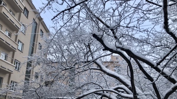 Стало известно, как долго петербуржцы смогут фотографировать зимнюю сказку погода5