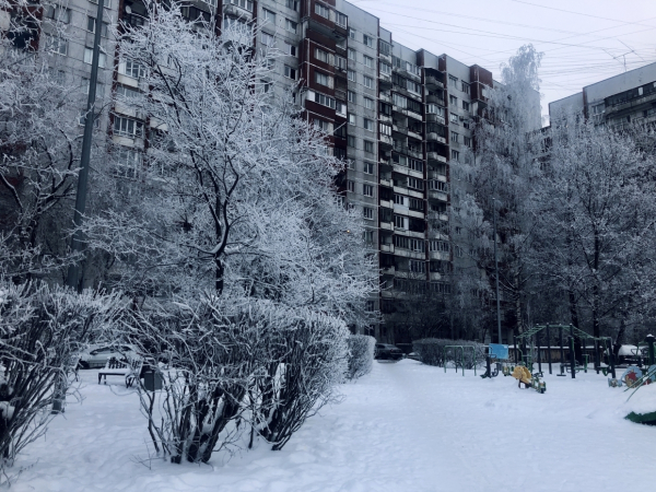 Стало известно, как долго петербуржцы смогут фотографировать зимнюю сказку погода2