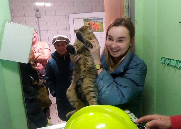 Спасатели вытащили провалившегося в короб жилого дома кота в столице Спасатели вытащили провалившегося в короб жилого дома кота в столице
