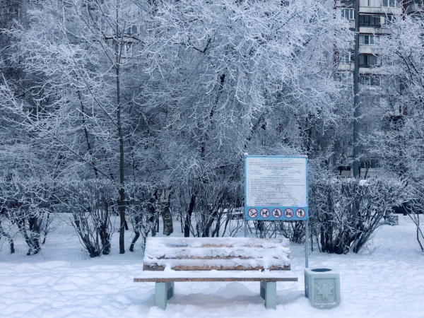 Стало известно, как долго петербуржцы смогут фотографировать зимнюю сказку Стало известно, как долго петербуржцы смогут фотографировать зимнюю сказку0