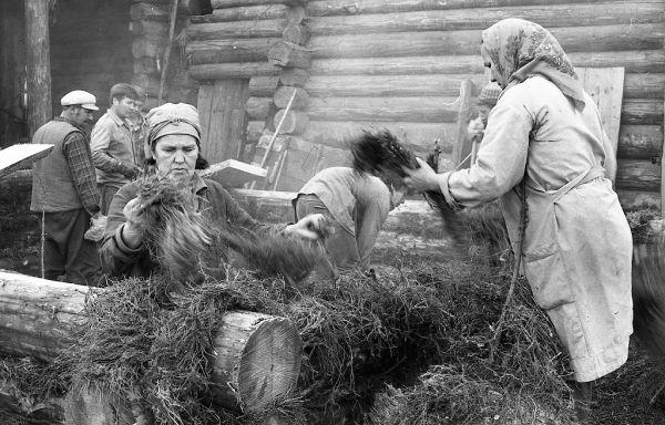 Нищий СССР на старых фотографиях Нищий СССР на старых фотографиях21