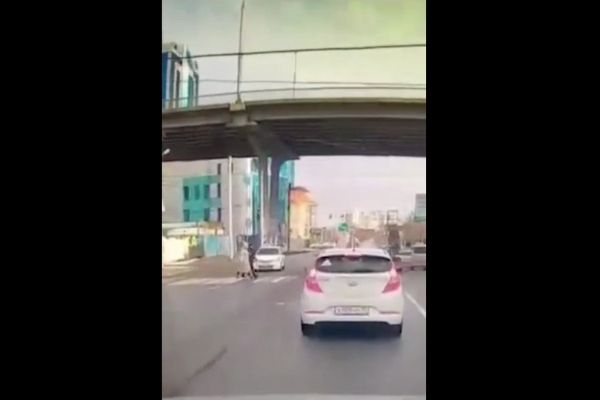Сын депутата от «Единой России» сбил людей на пешеходном переходе Сын депутата от «Единой России» сбил людей на пешеходном переходе0