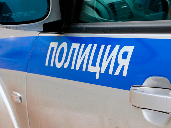 Полицейские в Подмосковье задержали несовершеннолетнего, снимавшего масленичные гуляния В Одинцовском районе Московской области полицейские задержали несовершеннолетнего блогера, который приехал в усадьбу Захарово снимать масленичные гуляния