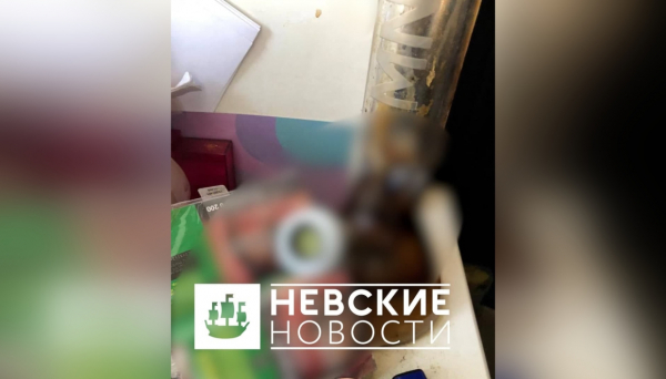 Депутата Резника вызвали на допрос по наркотическому делу Защита родственника депутата Резника, задержанного за наркотики, снова заговорила о политике3