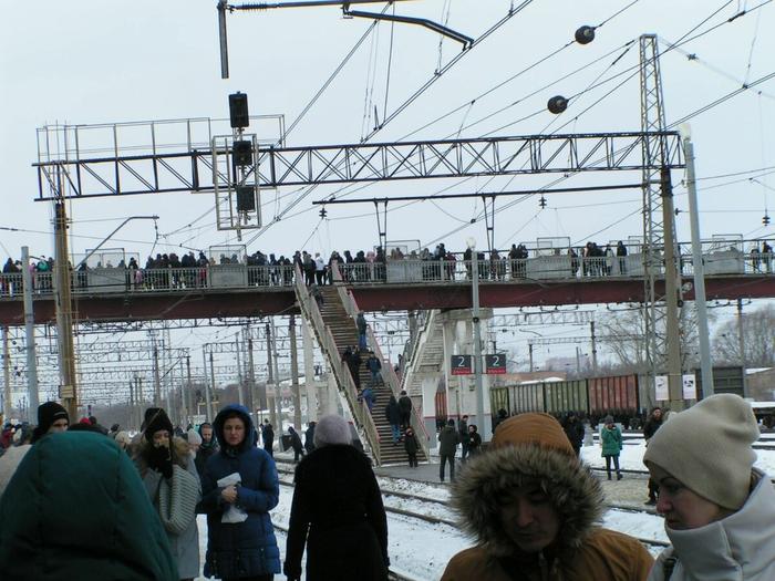 Фейковая новость выгнала на мороз толпы рязанцев Фейковая новость выгнала на мороз толпы рязанцев1