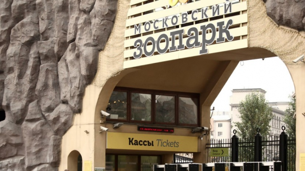 Московский зоопарк впервые примет участие в акции «Ночь театров» Московский зоопарк впервые примет участие в акции «Ночь театров»