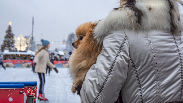 Работу ряда катков в Москве продлили ещё на неделю Работу ряда катков в Москве продлили ещё на неделю