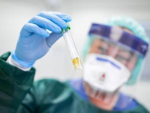 Еще 268 человек побороли коронавирус в Ростовской области Еще 268 человек побороли коронавирус в Ростовской области0
