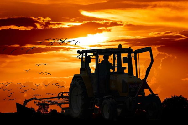 Сельхозтехнику пустят на трассу tractor0