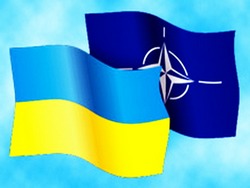 Украина потребовала от НАТО определить ее место к 2030 году Украина потребовала от НАТО определить ее место к 2030 году0