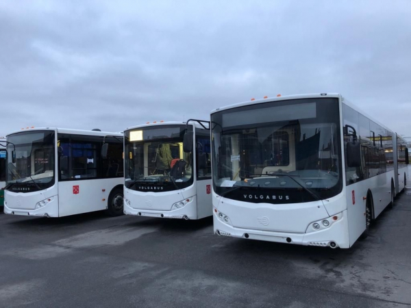 Дополнительные автобусы пустят на кладбища Петербурга в Вербное воскресенье Дополнительные автобусы пустят на кладбища Петербурга в Вербное воскресенье0