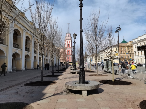 Новые мелколистные липы украсили территорию у Гостиного двора Мелколистные липы украсили территорию у Гостиного двора5