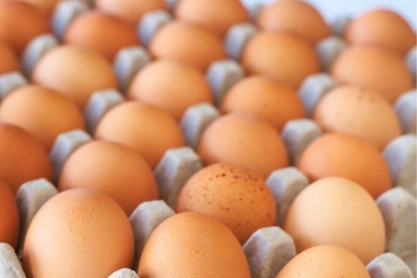Производители сообщили правительству о грядущем дефиците яиц Производители сообщили правительству о грядущем дефиците яиц