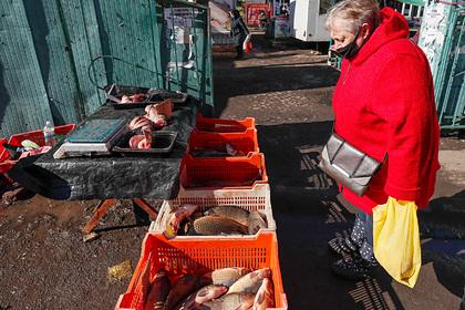 Экономике Украины предрекли коллапс Экономике Украины предрекли коллапс0