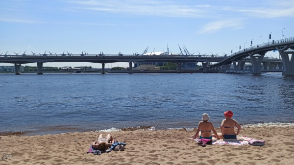 Петербуржцы устроили заплыв в запрещенном для купания месте Финского залива Петербуржцы устроили заплыв в запрещенном для купания месте Финского залива5