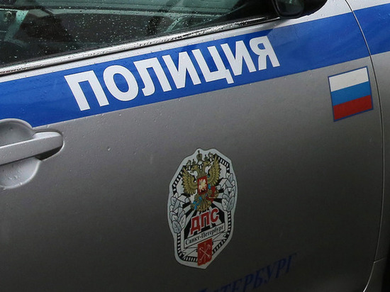 Оскорбивших Ваенгу в самолете супругов оштрафовали Оскорбивших Ваенгу в самолете супругов оштрафовали