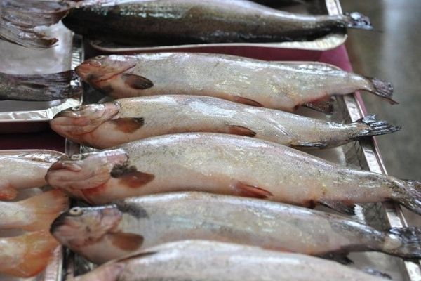 Раз в неделю рыбу может себе позволить лишь каждый третий россиянин Раз в неделю рыбу может себе позволить лишь каждый третий россиянин