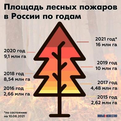 Ни денег, ни людей, ни техники: леса у нас сгорают не только из-за погоды Ни денег, ни людей, ни техники: леса у нас сгорают не только из-за погоды1