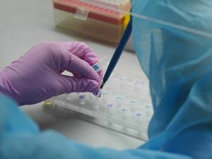 В Ростове почти у 7,3 тысячи человек подозревают инфекцию COVID-19 В Ростове почти у 7,3 тысячи человек подозревают инфекцию COVID-190