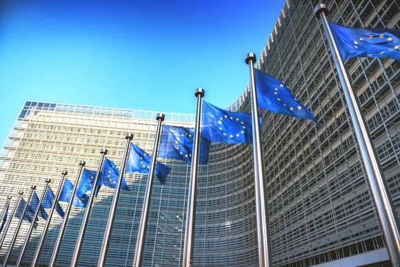 Чижов заявил, что резолюция Европарламента по России полна глупостей и ошибок Чижов заявил, что резолюция Европарламента по России полна глупостей и ошибок