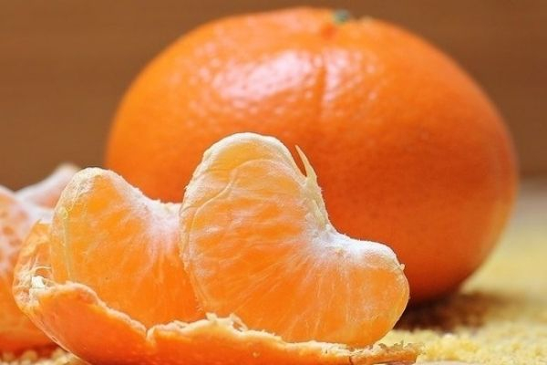Эксперты оценили последствия запрета мандаринов из Турции Эксперты оценили последствия запрета мандаринов из Турции