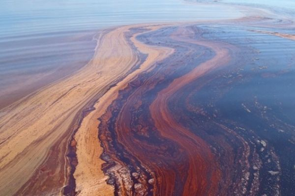 «Когда девушки вернулись с заплыва, они были в нефти». «Моржи» попали в нефтяное пятно «Когда девушки вернулись с заплыва, они были в нефти». «Моржи» попали в нефтяное пятно