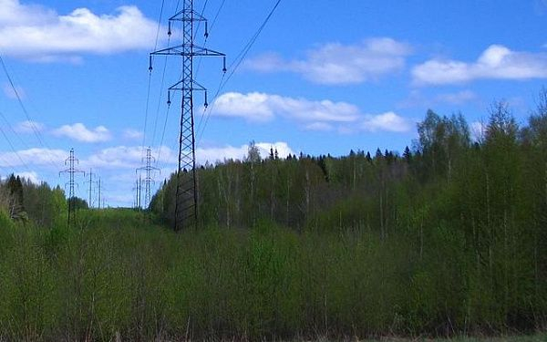 Пропавшего в лесу в Свердловской области тюменского срочника нашли мертвым Пропавшего в лесу в Свердловской области тюменского срочника нашли мертвым0