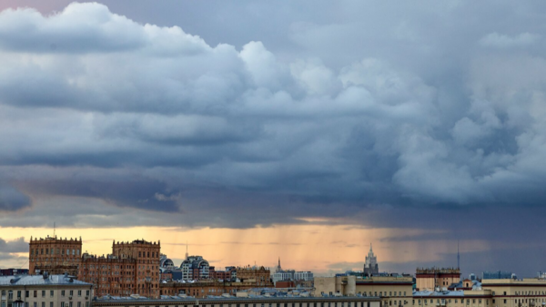 В Москве и Подмосковье объявили «жёлтый» уровень метеоопасности из-за тумана В Москве и Подмосковье объявили «жёлтый» уровень метеоопасности из-за тумана