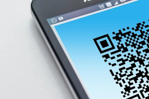 125 жителям региона за неделю отказано в обслуживании из-за отсутствия QR-кодов и сертификатов Новости Новосибирска0