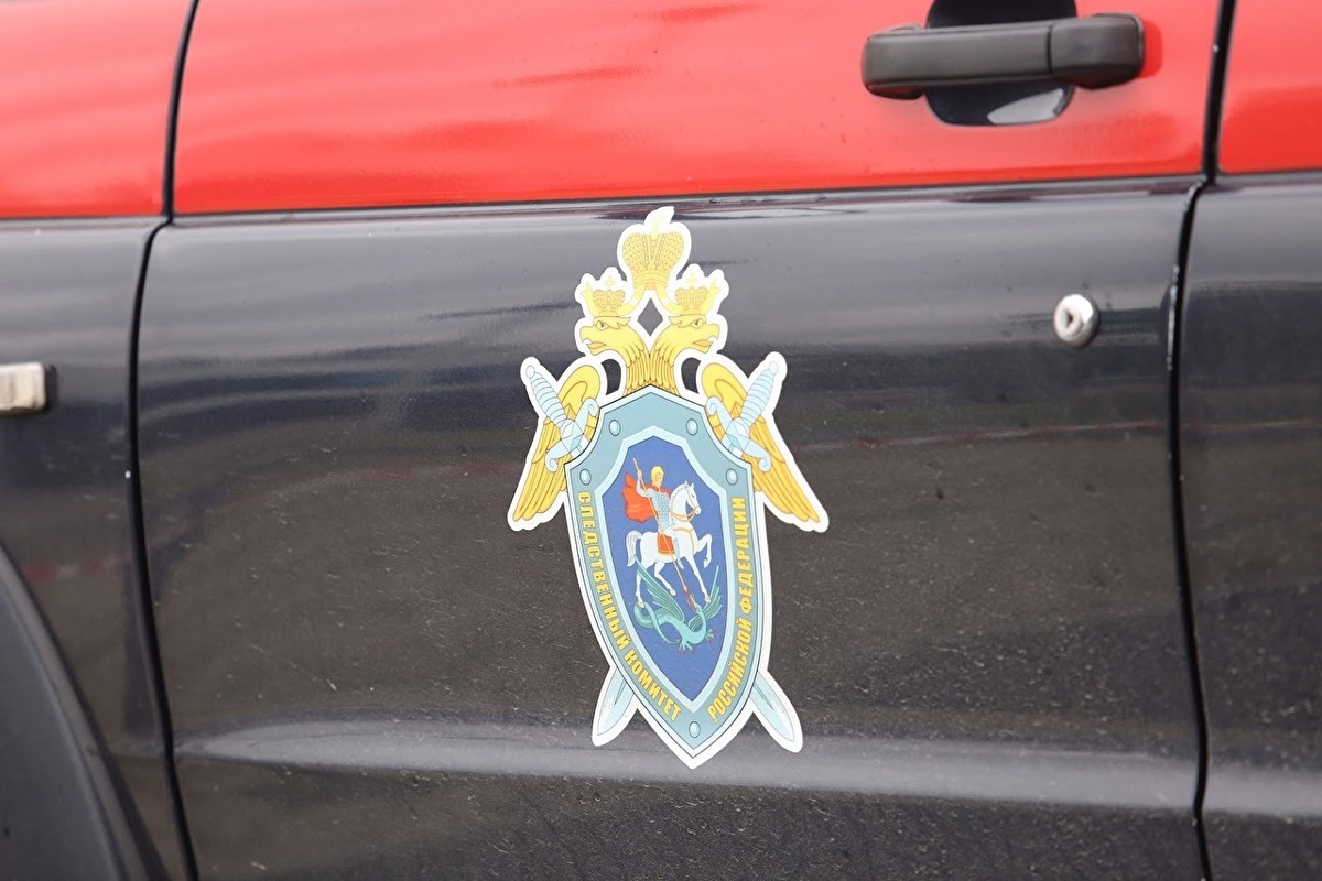 СК в Томске закрыл дело против силовиков, перепутавших авто и избивших случайного водителя СК в Томске закрыл дело против силовиков, перепутавших авто и избивших случайного водителя