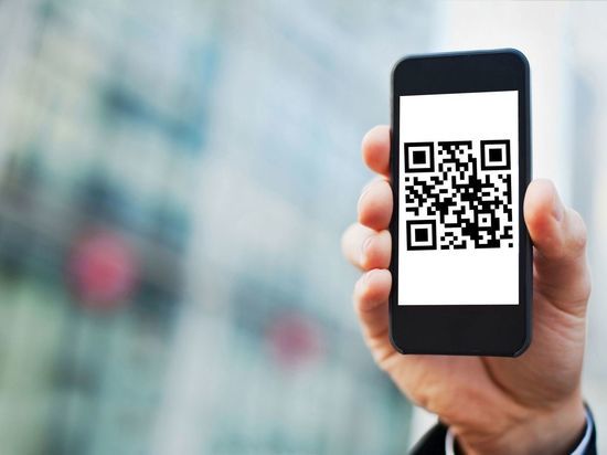 Власти Петербурга отзывают QR-код у Театра юного зрителя имени Брянцева Власти Петербурга отзывают QR-код у Театра юного зрителя имени Брянцева