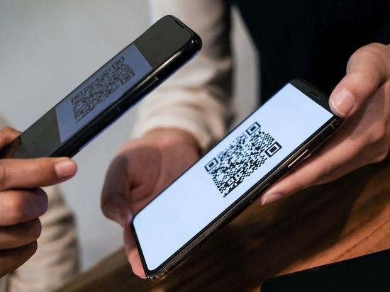 Подумайте о туристах: в Общественной палате оценили идею давать QR-коды привитым иностранной вакциной и переболевшим Подумайте о туристах: в Общественной палате оценили идею давать QR-коды привитым иностранной вакциной и переболевшим