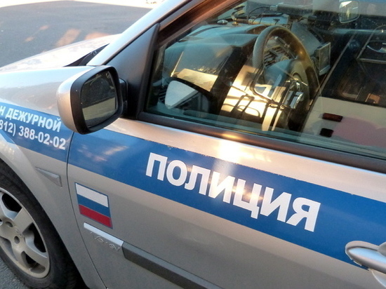 «Кунг-фу» с сумкой против петербургской полиции обернулось для драчуна условным сроком «Кунг-фу» с сумкой против петербургской полиции обернулось для драчуна условным сроком