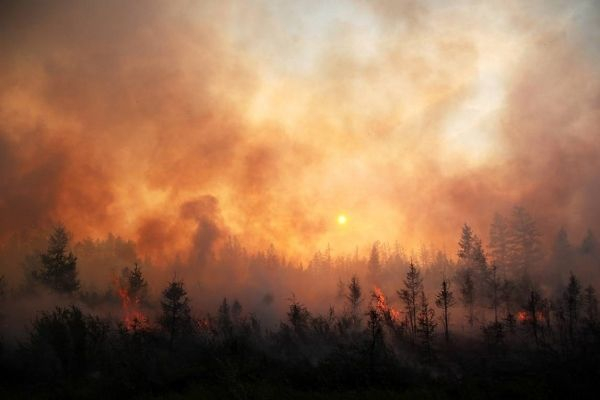 В России за сутки в 17 раз увеличилась площадь лесных пожаров В России за сутки в 17 раз увеличилась площадь лесных пожаров