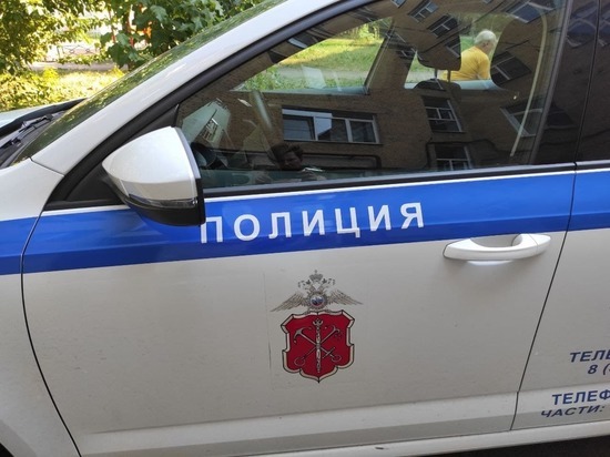 Задержан подозреваемый в обстреле скорой помощи в Петербурге водитель иномарки Задержан подозреваемый в обстреле скорой помощи в Петербурге водитель иномарки
