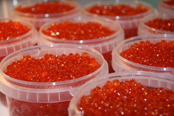 Роскачество нашло кишечную палочку в 71% исследованных образцах икры Роскачество нашло кишечную палочку в 71% исследованных образцах икры