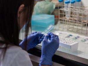 В Ростове у 1 053 человек подозревают коронавирус В Ростове у 1 053 человек подозревают коронавирус0