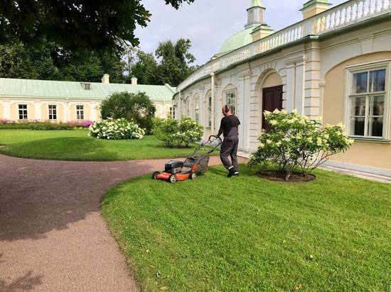 Количество техники для уборки парков и скверов Петербурга увеличат к октябрю Количество техники для уборки парков и скверов Петербурга увеличат к октябрю