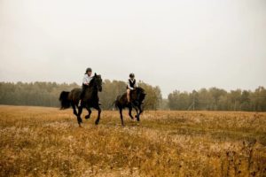 В Маслянино проектируют особую экономическую зону В Маслянино проектируют особую экономическую зону1
