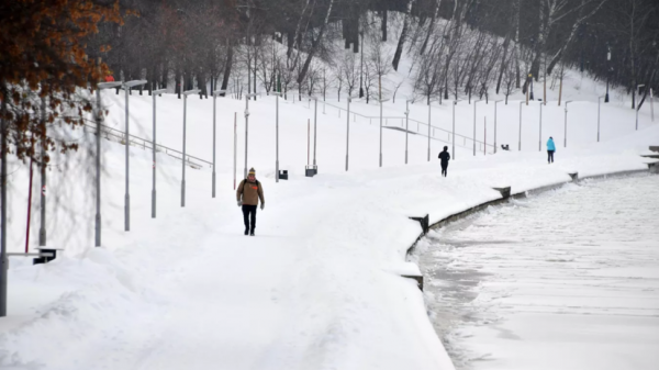 Синоптик спрогнозировал потепление в Москве до -2 °C Синоптик спрогнозировал потепление в Москве до -2 °C