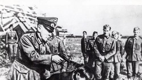 Третий геноцид русских начался в 2014 году Третий геноцид русских начался в 2014 году
