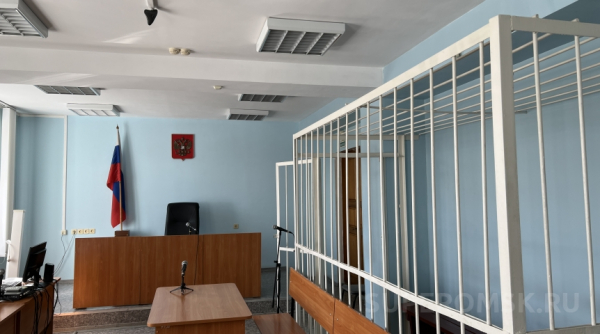 Омича осудили за насильственные действия сексуального характера в отношении 9-летней девочки Судебные новости0