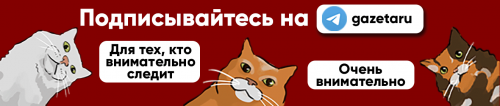 «Я должен был искать протестные настроения». Как гражданин России работал на США «Я должен был искать протестные настроения». Как гражданин России работал на США